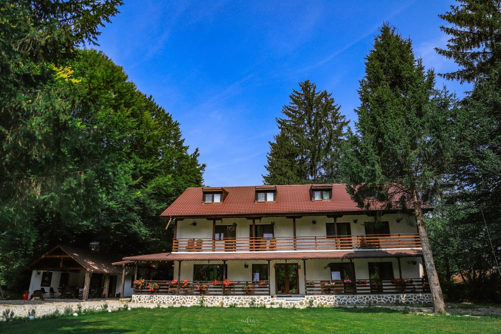 Pensiunea Vinatur Porumbacu de Sus Exterior photo